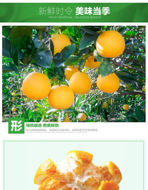正宗常山胡柚 当季鲜果，甜酸尽在舌尖
