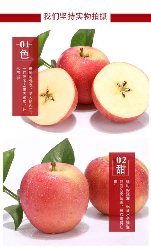 尝遍百果心仍动——品味精品山西冰糖心红富士的季节馈赠