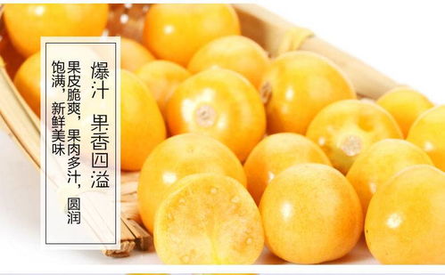 东北特产黄姑娘果 甜蜜灯笼里的乡野清欢