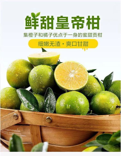 皇帝柑沃柑橘子新鲜甜蜜橘桔水果新鲜应季水果薄皮批发1 10斤一整箱